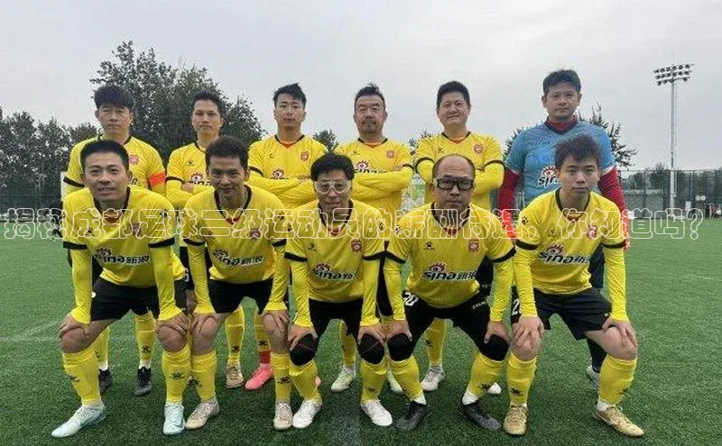 8868平台官方下载神思电子揭秘成都足球二级运动员的薪酬待遇，你知道吗？