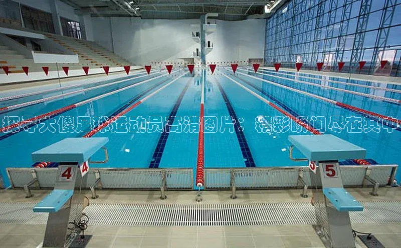 8688体育官网网页登录百度取证探寻大傻足球运动员高清图片：精彩瞬间尽在其中