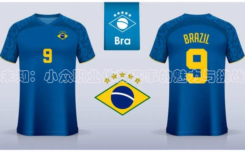 8868体育app官方网站百度智能门户未知：小众职业体育赛事的魅力与挑战