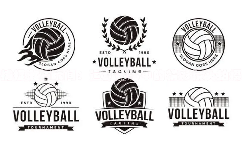 8868体育官网进入百度教育捕捉激情瞬间：运动赛事中的精彩镜头拍摄