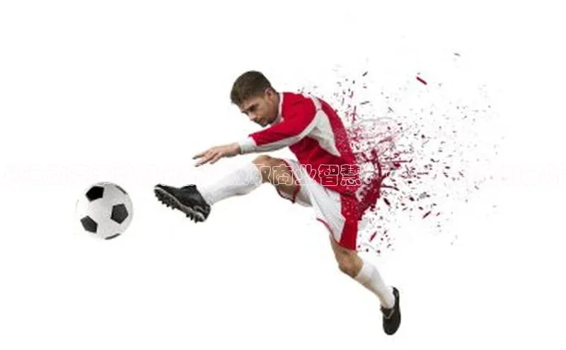 从运动赛事数据分析中汲取商业智慧：一个综合案例分析