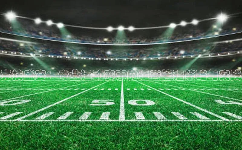 竞技盛宴：专业运动赛事的运营管理策略与实践