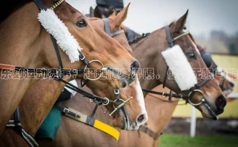 乐刻运动赛事：超越健身界限，健康无限可能