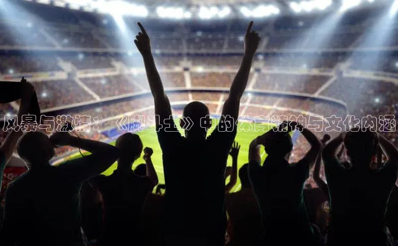风暴与激情：《脚斗士》中的体育精神与文化内涵