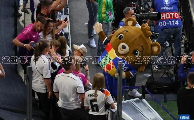 运动赛事中的平等与公正原则：维护公平竞争的基石