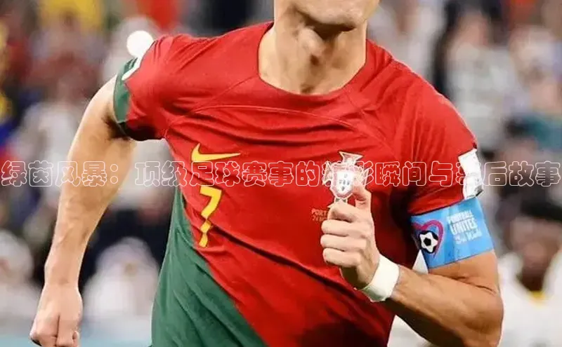 绿茵风暴：顶级足球赛事的精彩瞬间与幕后故事