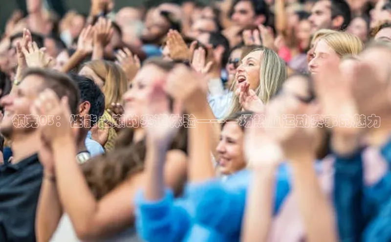 领克03：性能之巅的赛道体验——一场热血运动赛事的魅力