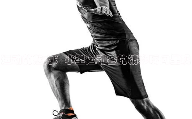 运动的魅力：小型运动会的精彩瞬间呈现