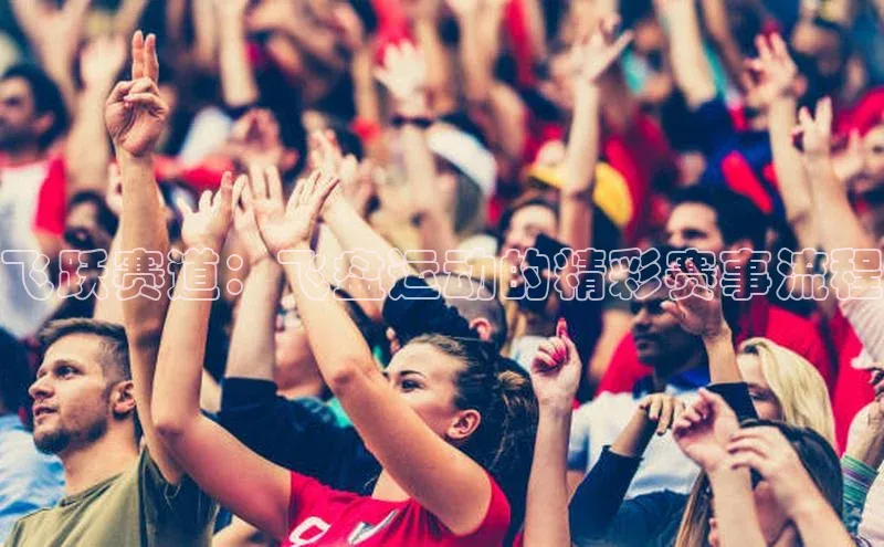 飞跃赛道：飞盘运动的精彩赛事流程