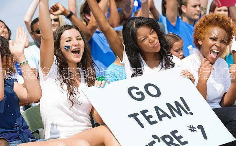 飞跃巅峰：羽毛球运动赛事中的策略与技巧